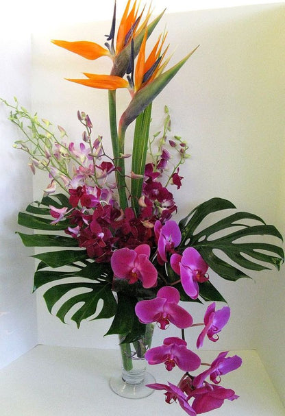 Exotic Splendor –  North Star Blooms, Roseville MN