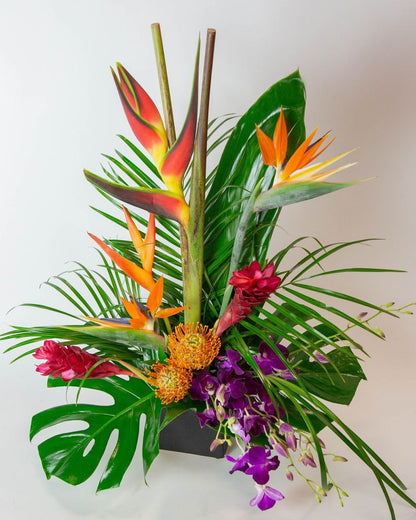 Tropical Paradis –  North Star Blooms, Roseville MN