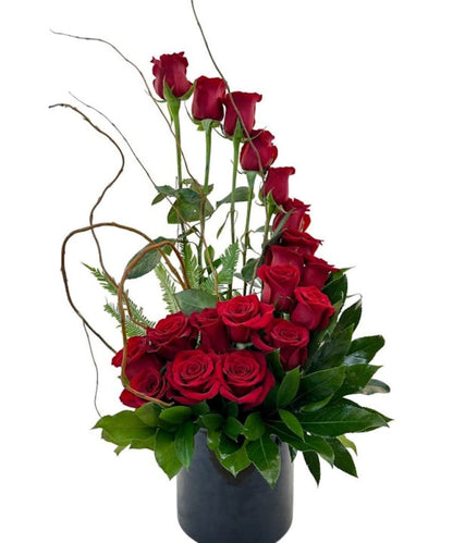 Magnifica –  North Star Blooms, Roseville MN
