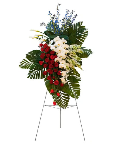 Old Glory –  North Star Blooms, Roseville MN