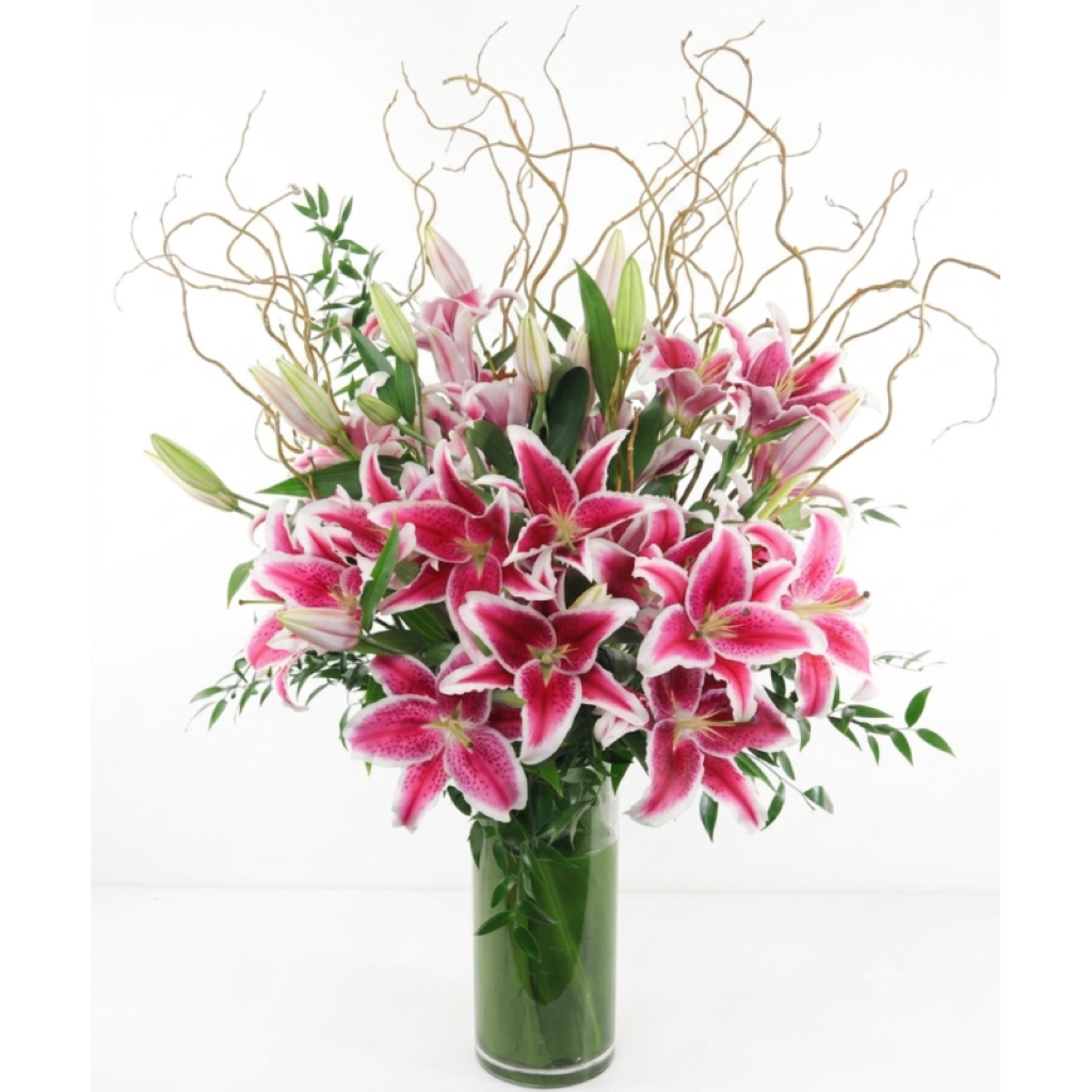 SOARING STARGAZERS –  North Star Blooms, Roseville MN