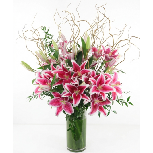 SOARING STARGAZERS –  North Star Blooms, Roseville MN