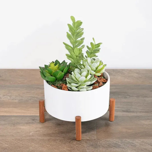 Monthly Succulent Garden