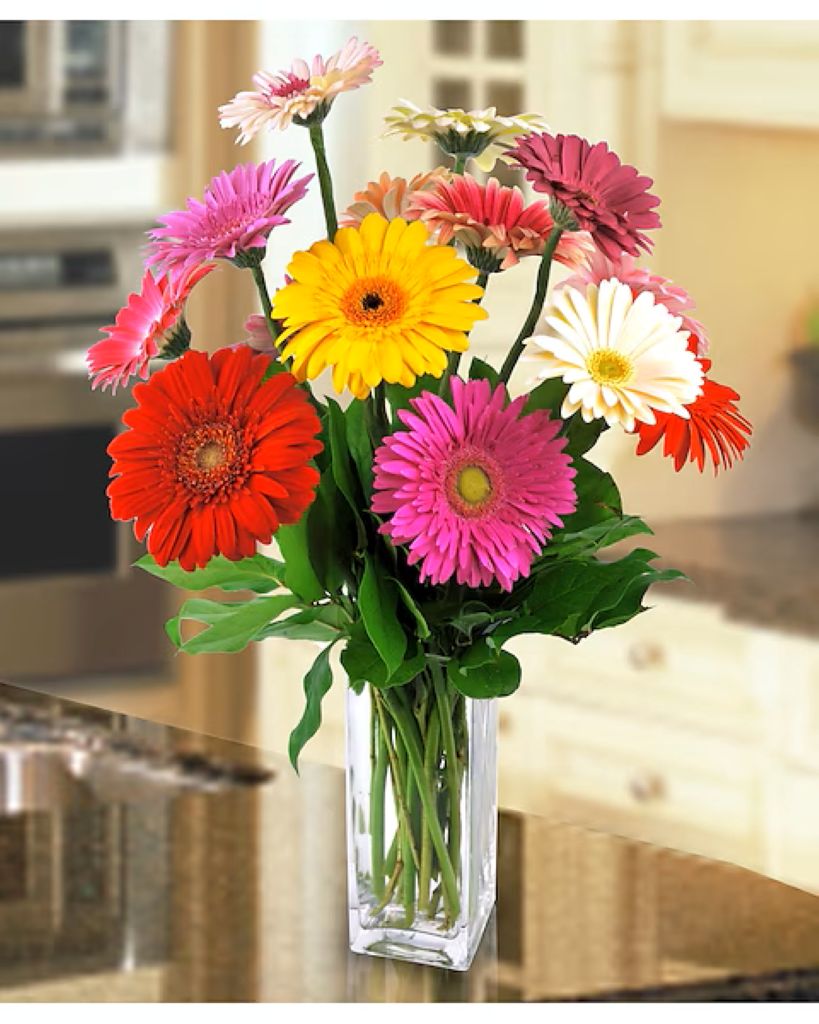Happy Gerbera –  North Star Blooms, Roseville MN