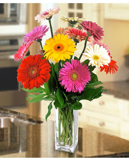 Happy Gerbera –  North Star Blooms, Roseville MN