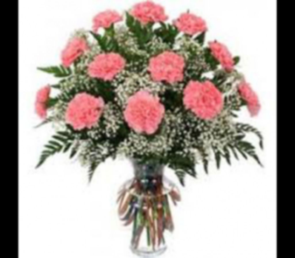 Doz Pink Carnations