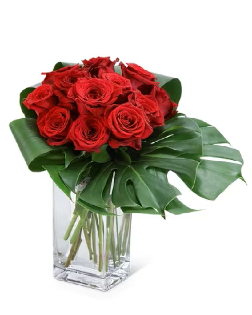 Modern  Rose