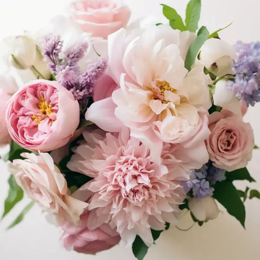 Sweet Blush