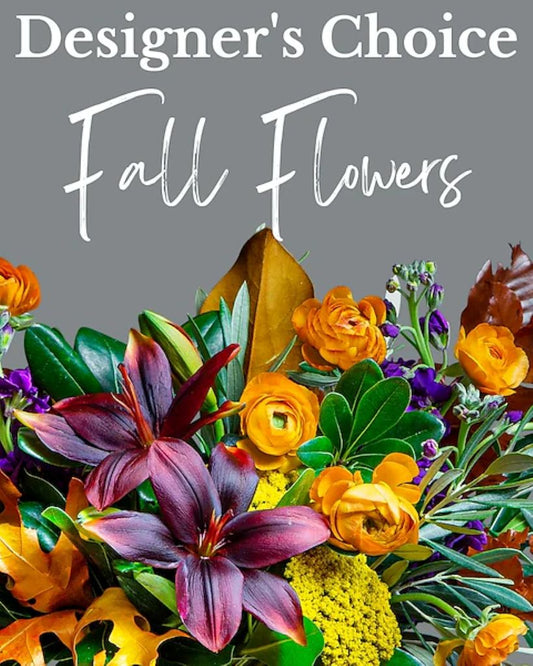 Designers Choice Fall
