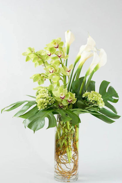 Paradise Unveiled –  North Star Blooms, Roseville MN