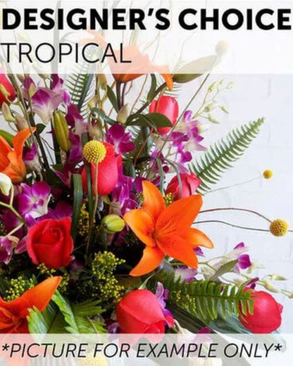 Designer's Choice - Tropical