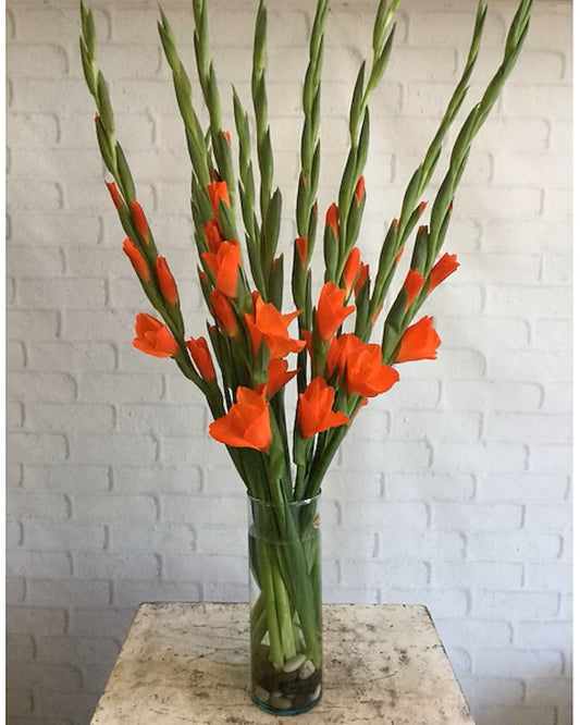 August Birthday Flower  Bouquet