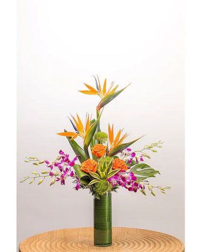 Island Dream –  North Star Blooms, Roseville MN