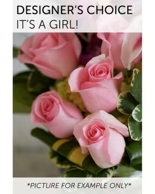 Designer's Choice - It's a Girl!