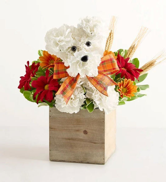 a-DOG-able® for Fall