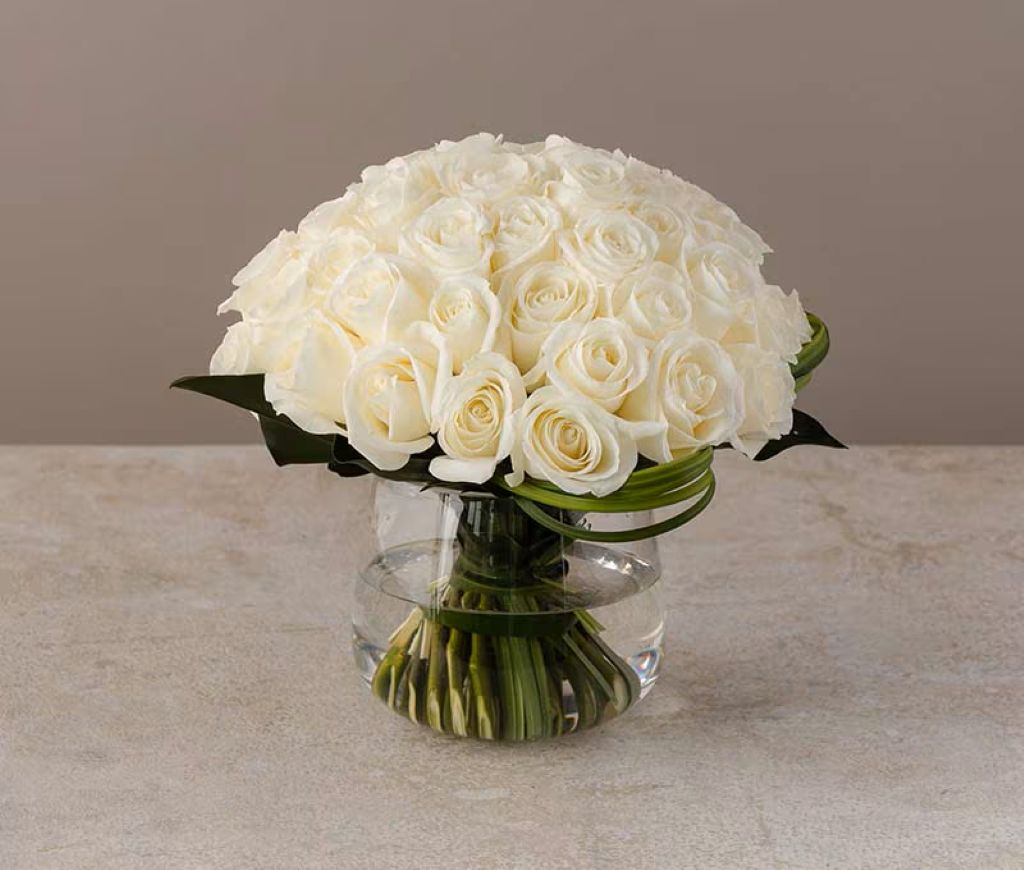 Modern Rose