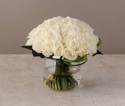 Modern Rose