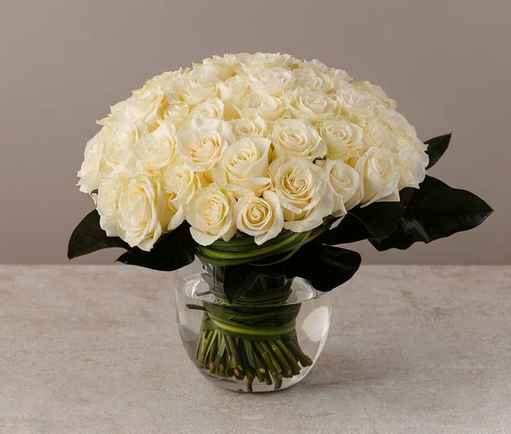 Modern Rose