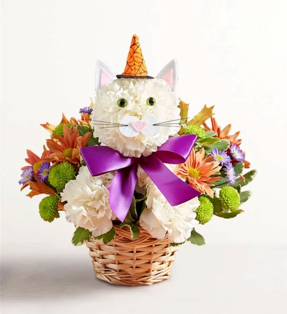 Purrfect Potions Fabulous Feline