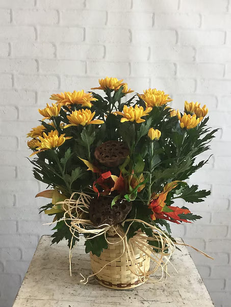 November Birthday: Chrysanthemum