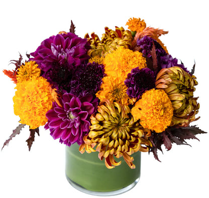 Spellbound –  North Star Blooms, Roseville MN