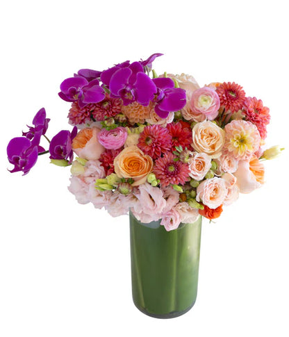 Mademoiselle –  North Star Blooms, Roseville MN