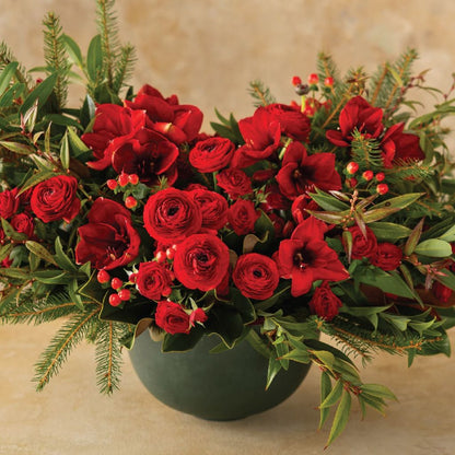 Ruby Radiance –  North Star Blooms, Roseville MN