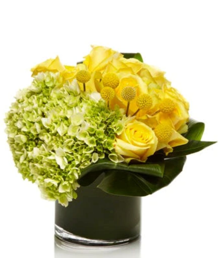 Limeade –  North Star Blooms, Roseville MN
