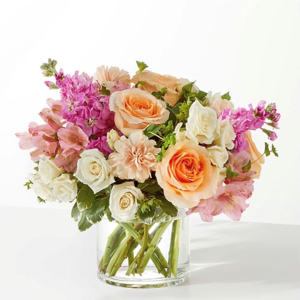 Sweet Peach –  North Star Blooms, Roseville MN