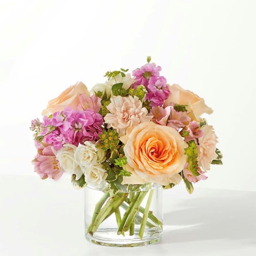 Sweet Peach –  North Star Blooms, Roseville MN