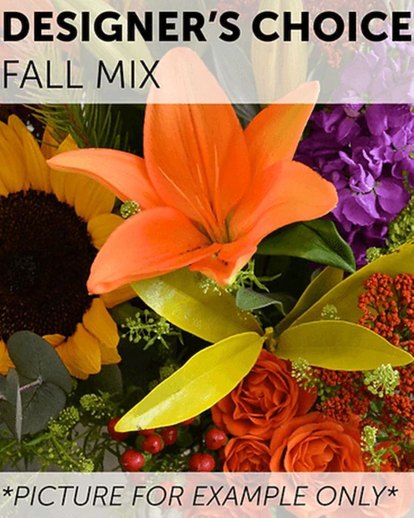 Designer's Choice - Fall Mix –  North Star Blooms, Roseville MN