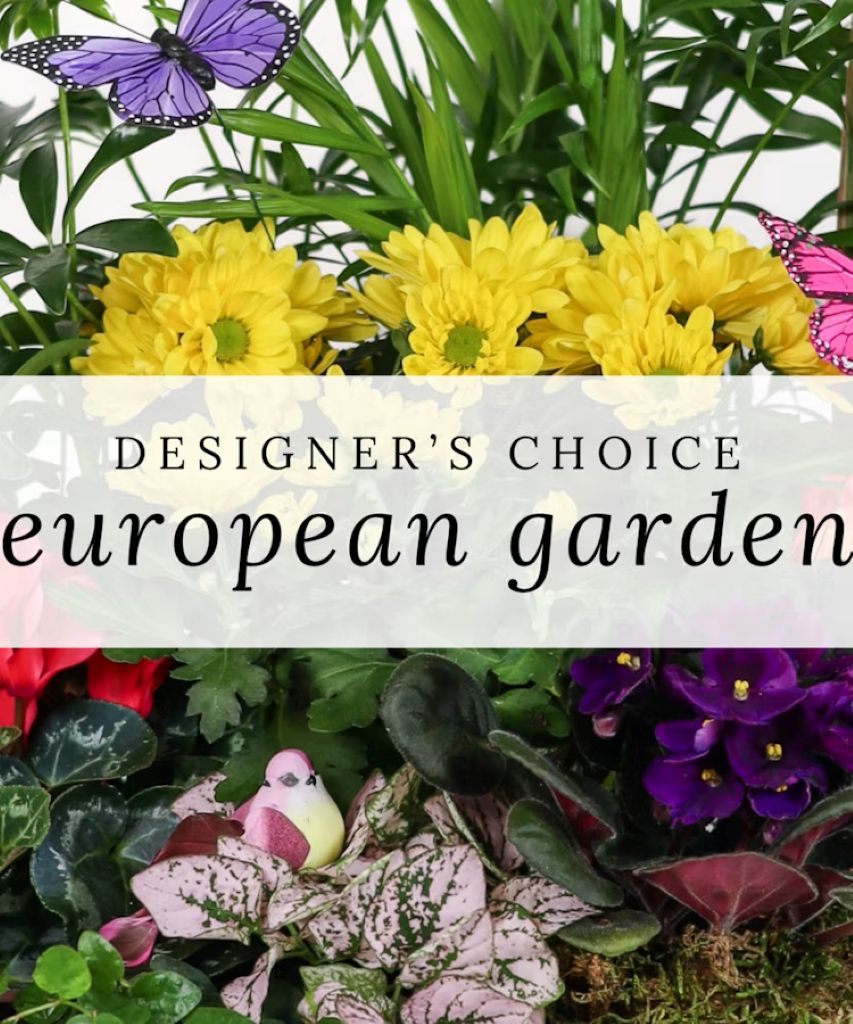 Designer's Choice European Garden –  North Star Blooms, Roseville MN