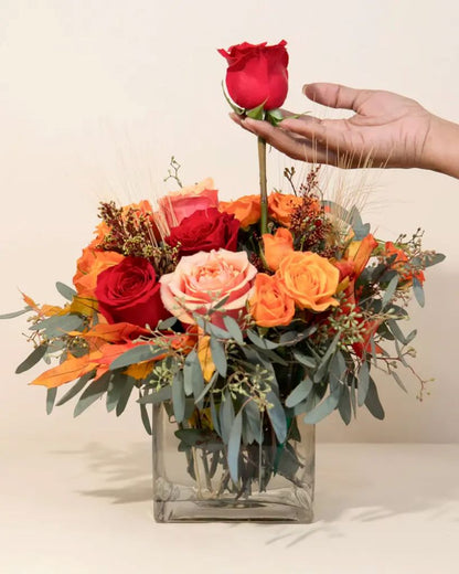 Soft Touch –  North Star Blooms, Roseville MN