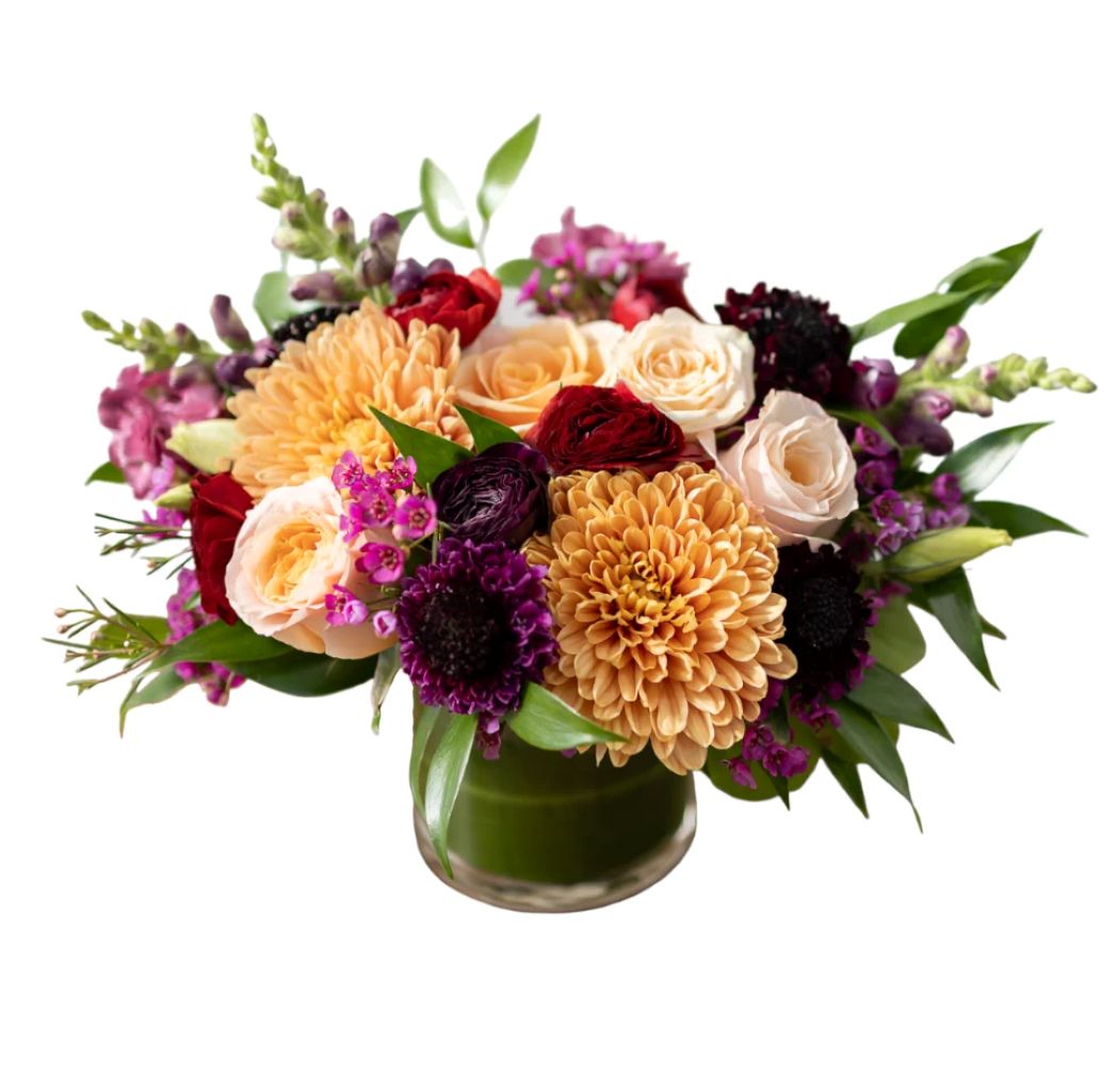 Love Spell –  North Star Blooms, Roseville MN