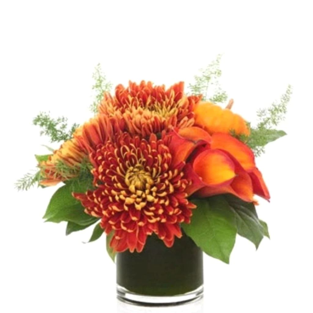 Pumpkin Spice –  North Star Blooms, Roseville MN