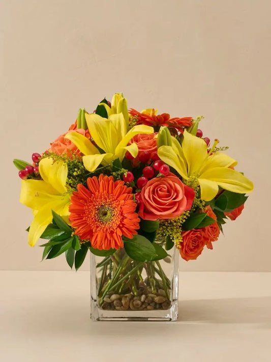 A Burst of Sunshine