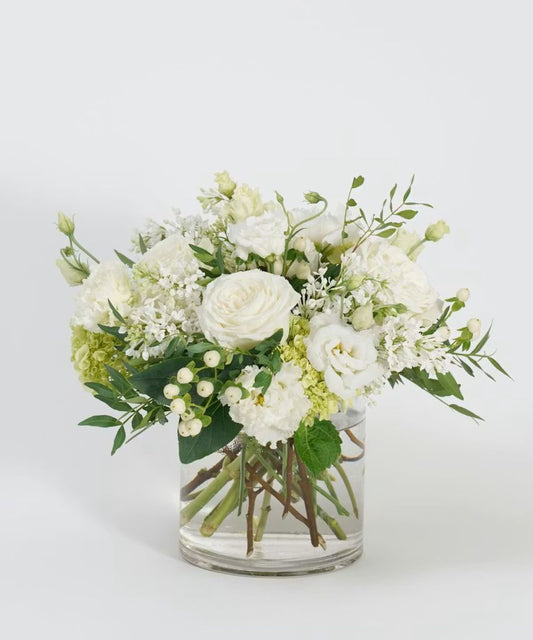 Ivory & Sage