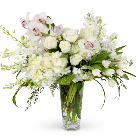 IVORY ELEGANCE