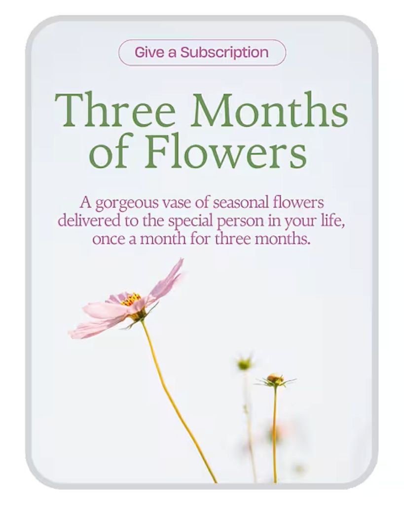 Bouquet of the Month Club (3) –  North Star Blooms, Roseville MN
