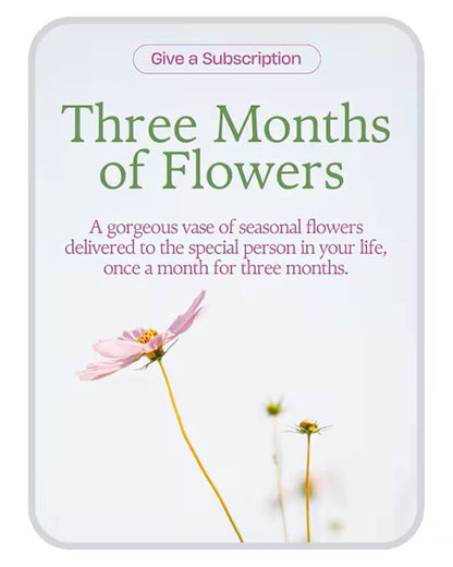 Bouquet of the Month Club (3) –  North Star Blooms, Roseville MN