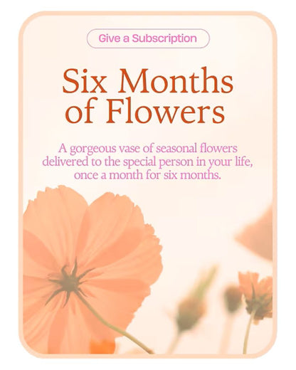 Bouquet of the Month Club (6) –  North Star Blooms, Roseville MN