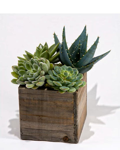 Rustic Charm Box