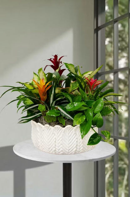 European Garden in Ceramic Container