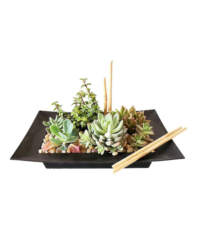 Garden of Zen –  North Star Blooms, Roseville MN