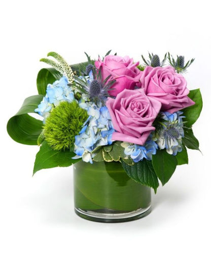 Cool Water –  North Star Blooms, Roseville MN