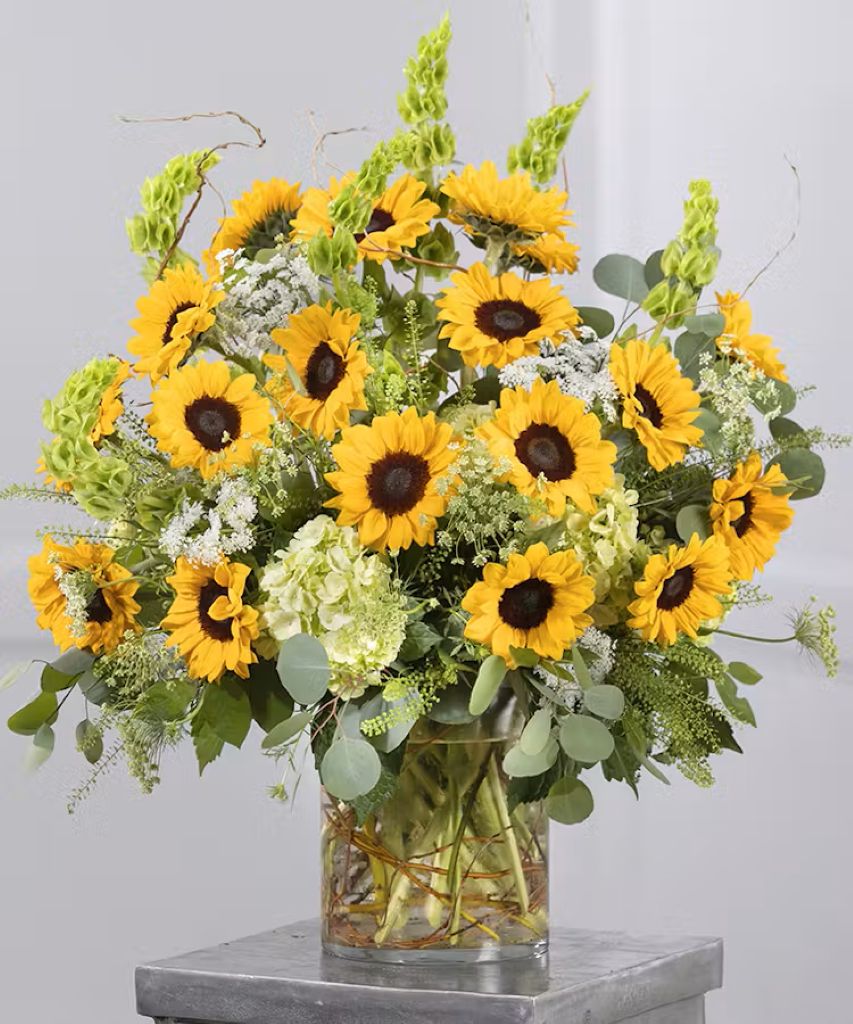 Sunflower Garden Showcase –  North Star Blooms, Roseville MN