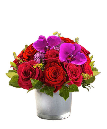 Rose Delight –  North Star Blooms, Roseville MN