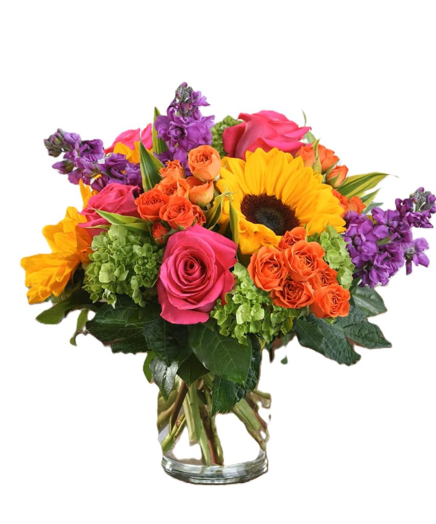 MINNSOTTA VIBRANT BEAUTY