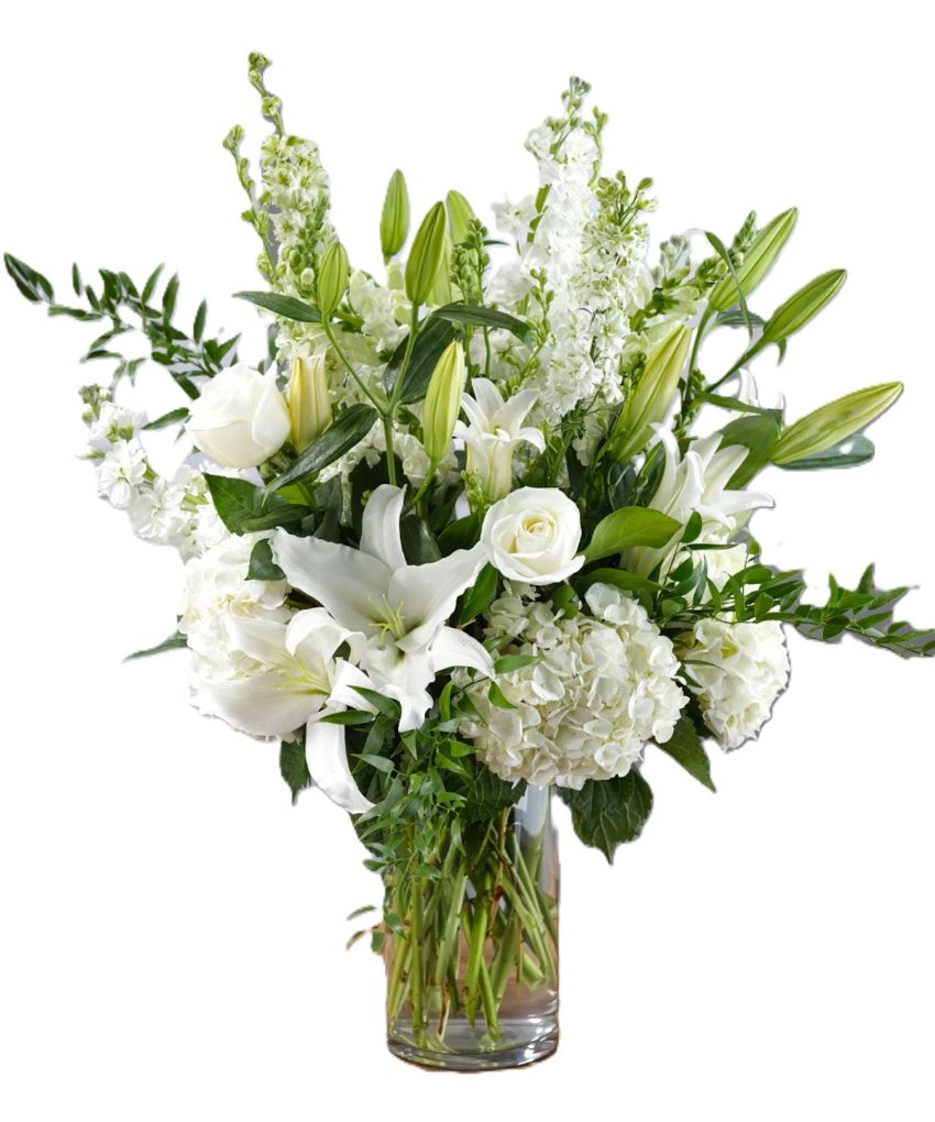 Elegant White Garden Vista