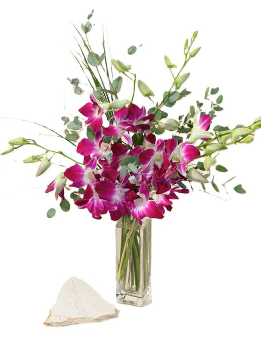 Dendrobium Orchid Vase